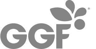 GGF